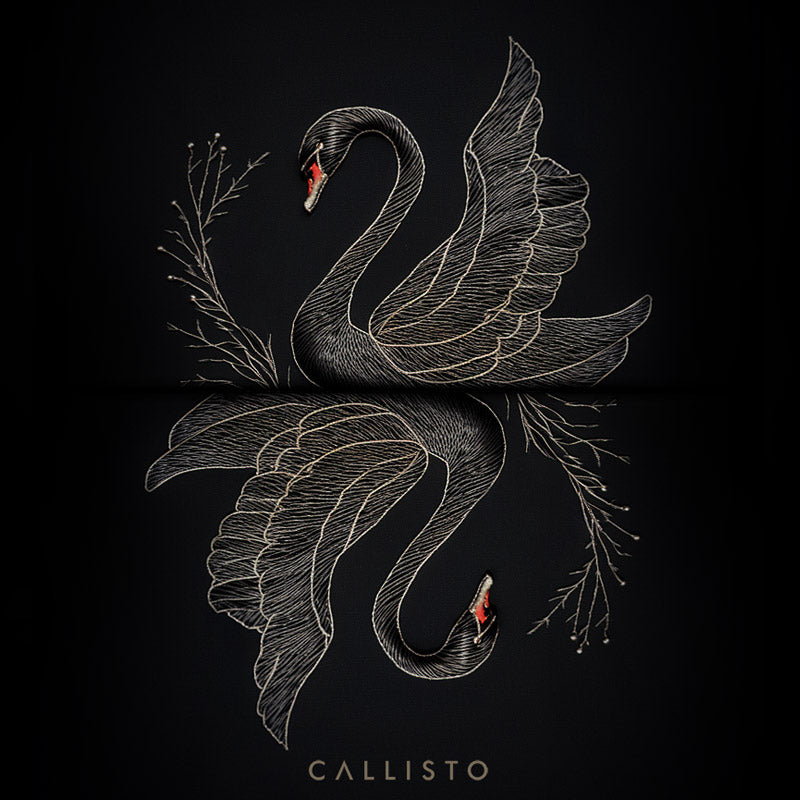 Callisto Tutus Apple Watch Wallpaper Black Swan Swan Lake