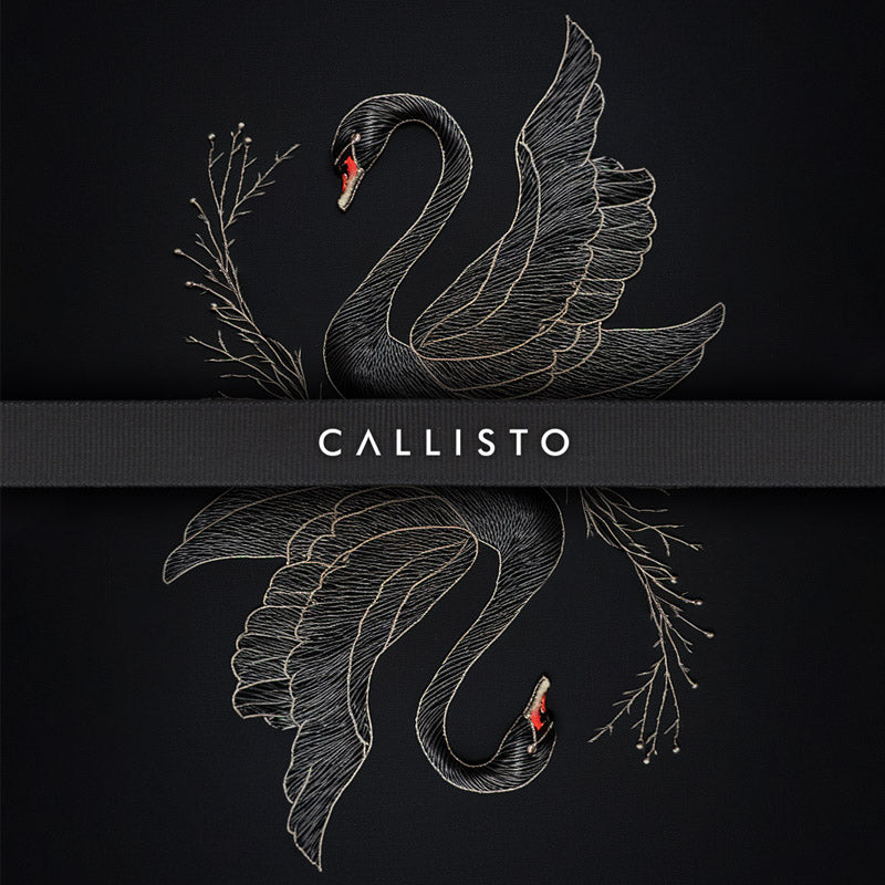 callisto dancewear black swan wallpaper. Iphone, android, homescreen