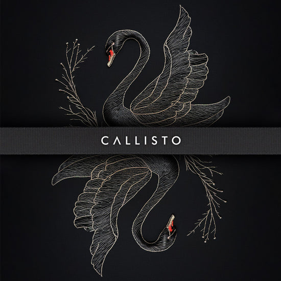 callisto dancewear black swan wallpaper. Iphone, android, homescreen