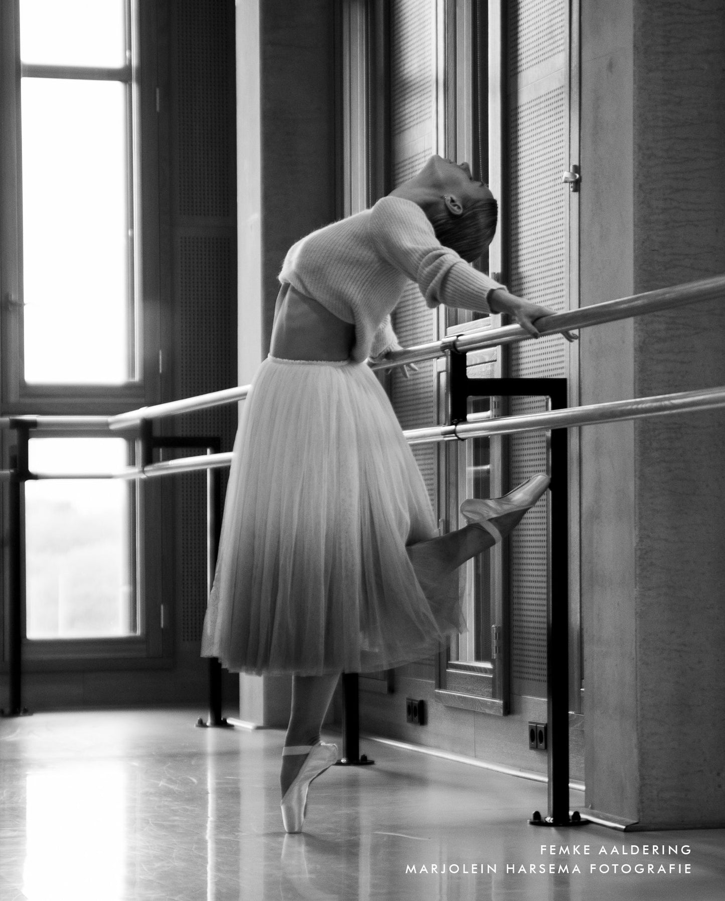 Adult ballerina. Ballet terms. Ballet shoes. Classical romantic ballet tutu