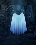 Professional ballet tutu. Callisto dancewear. Ballet classes near me. Boston Ballet. ballerina tutu. Romantic ballet tutu. Callisto tutu